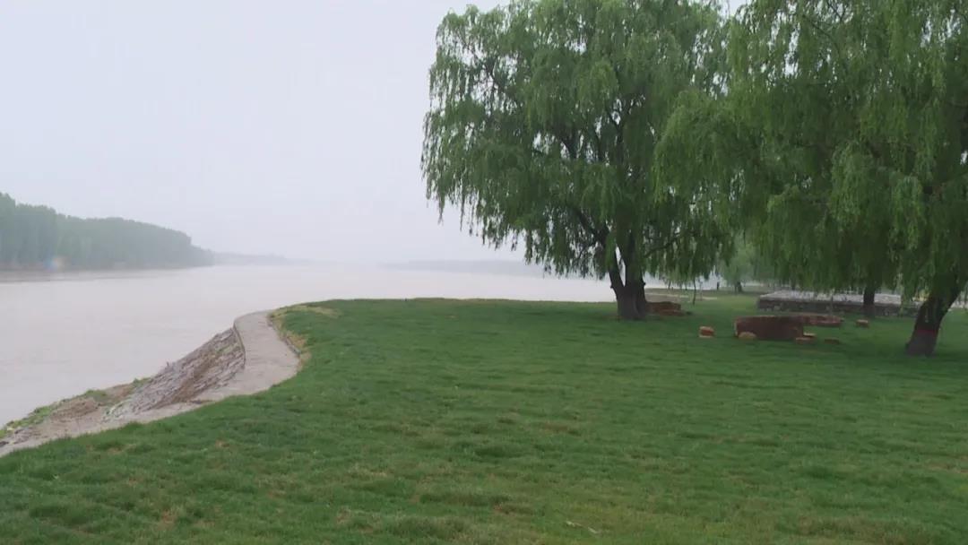 全市林水會戰(zhàn)觀摩團前往黃河之星生態(tài)園觀摩(圖4)