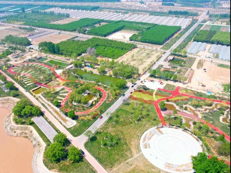 全市林水會戰(zhàn)觀摩團前往黃河之星生態(tài)園觀摩(圖5)