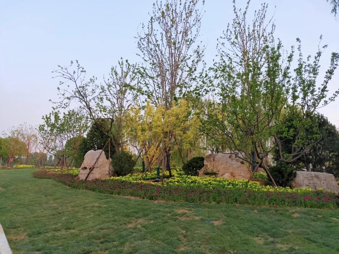 全市林水會戰(zhàn)觀摩團前往黃河之星生態(tài)園觀摩(圖7)