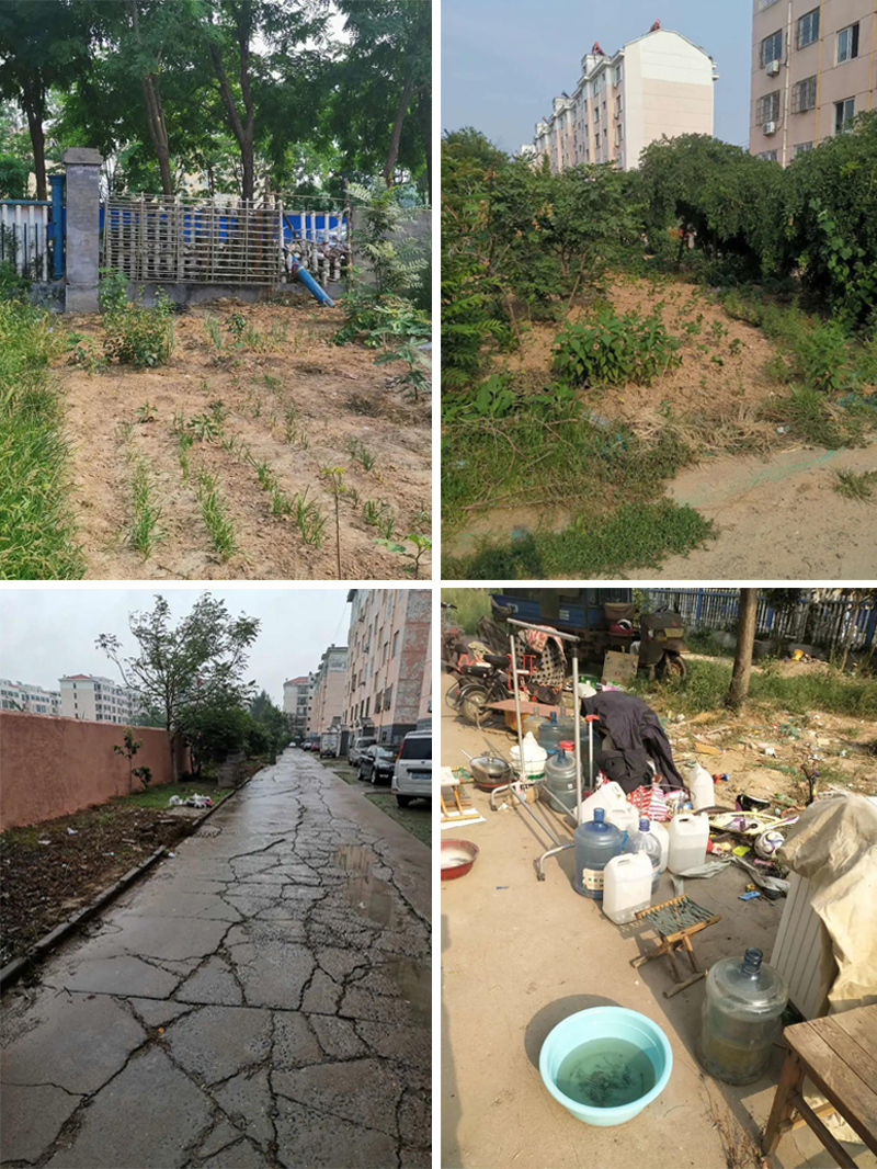 無私奉獻美化環(huán)境，大愛企業(yè)溫暖民心(圖4)