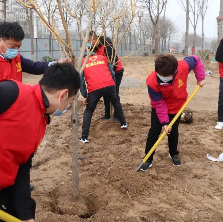 惠眾財(cái)金集團(tuán)舉行“黨團(tuán)共筑文明夢(mèng) 植樹(shù)添綠應(yīng)春風(fēng)”植樹(shù)節(jié)活動(dòng)(圖6)