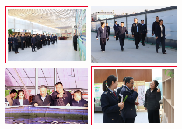 黨建聯(lián)盟聚合力 融合賦能促發(fā)展 ——濱城區(qū)財(cái)稅黨建聯(lián)盟走進(jìn)惠達(dá)瑞和集團(tuán)魚菜菌共生基地(圖2) 黨建聯(lián)盟聚合力 融合賦能促發(fā)展 ——濱城區(qū)財(cái)稅黨建聯(lián)盟走進(jìn)惠達(dá)瑞和集團(tuán)魚菜菌共生基地(圖2)